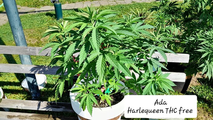 Growreport Bild 22