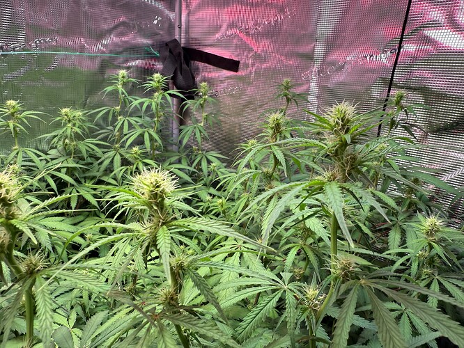 Growreport Bild 21