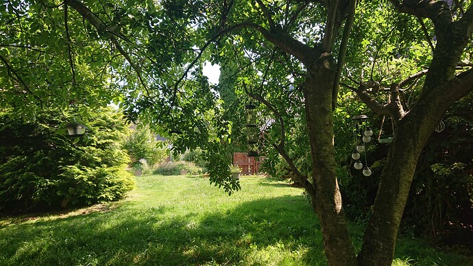 Growreport Bild 26