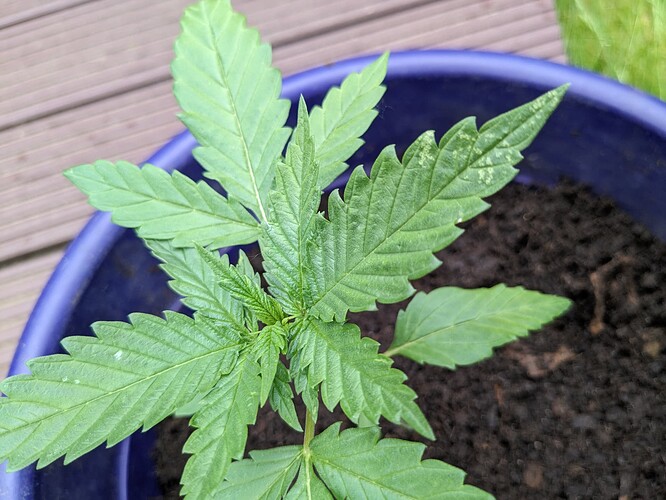 PXL_20240520_130947857