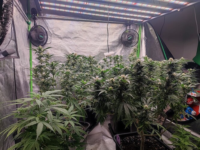 Growreport Bild 12