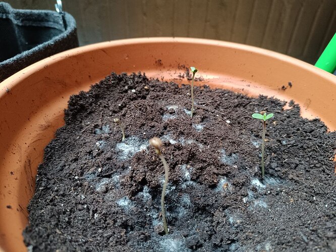 photo_5220064472754935354_y