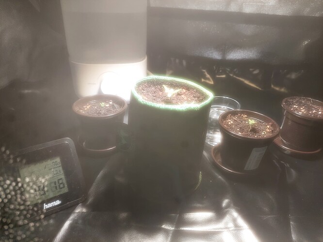 Growreport Bild 6