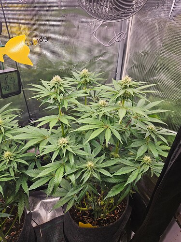 Growreport Bild 14
