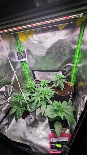 Growreport Bild 3