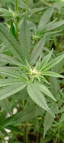 Growreport Bild 10
