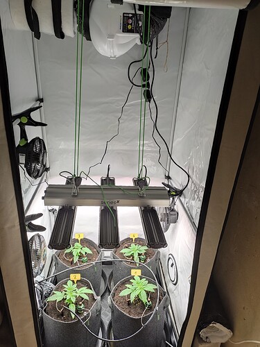 Growreport Bild 17