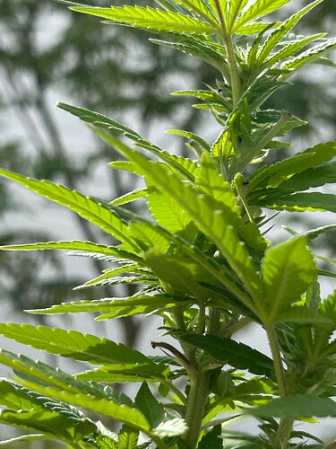 Growreport Bild 11