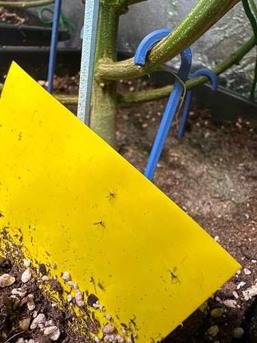 Growreport Bild 27