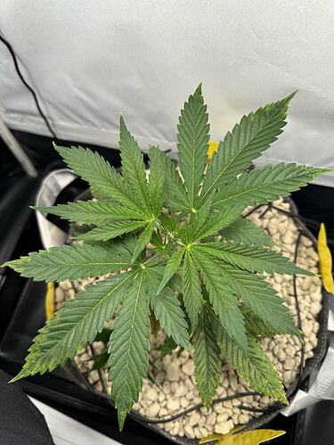 20240430_174626795_iOS