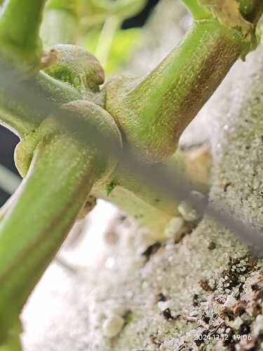 Growreport Bild 17