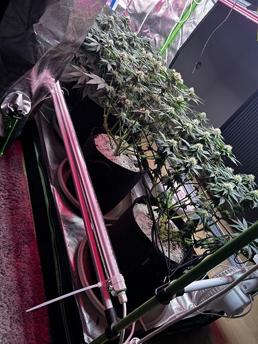 Growreport Bild 21
