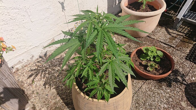 Growreport Bild 47