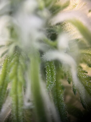 Growreport Bild 22