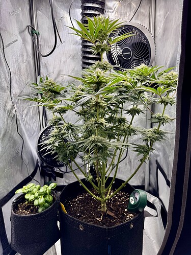 Growreport Bild 2