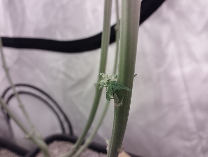Growreport Bild 11