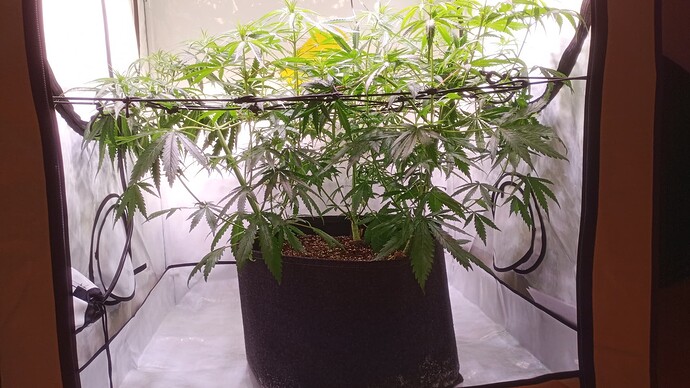 Growreport Bild 15