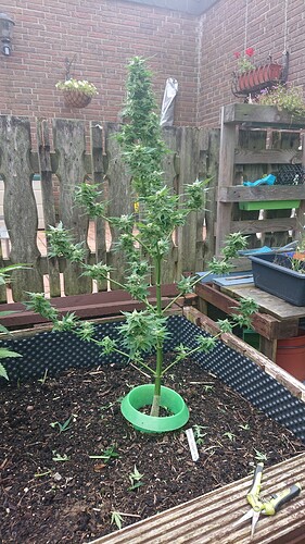 Growreport Bild 10