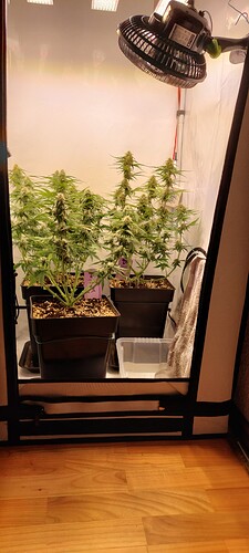 Growreport Bild 3