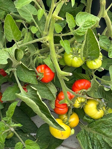 Growreport Bild 24