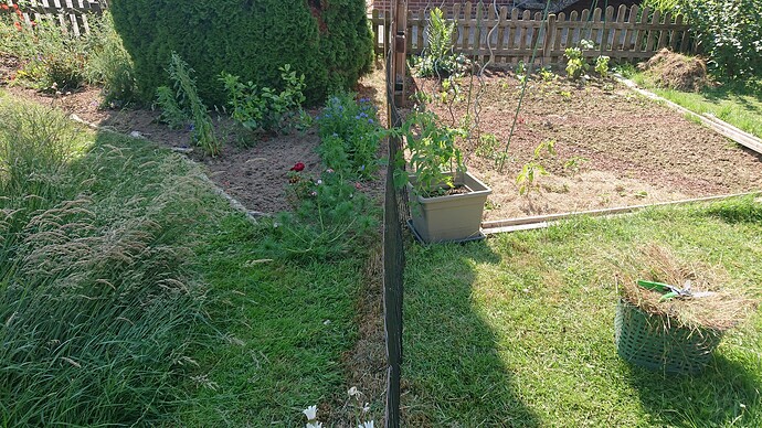 Growreport Bild 27