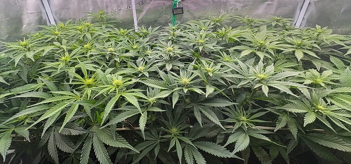 Foto 30.12.25, 13 43 13