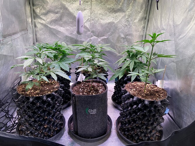 Growreport Bild 2