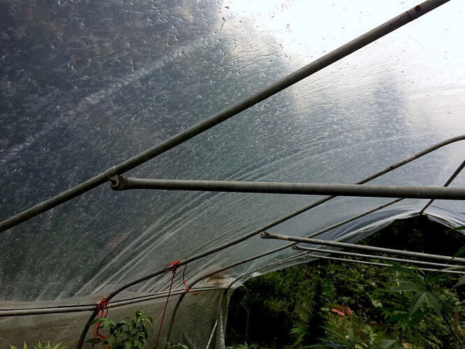 Grow26_0730_15