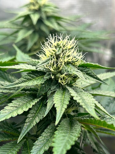 Growreport Bild 23