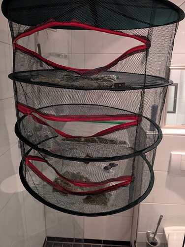 Growreport Bild 24