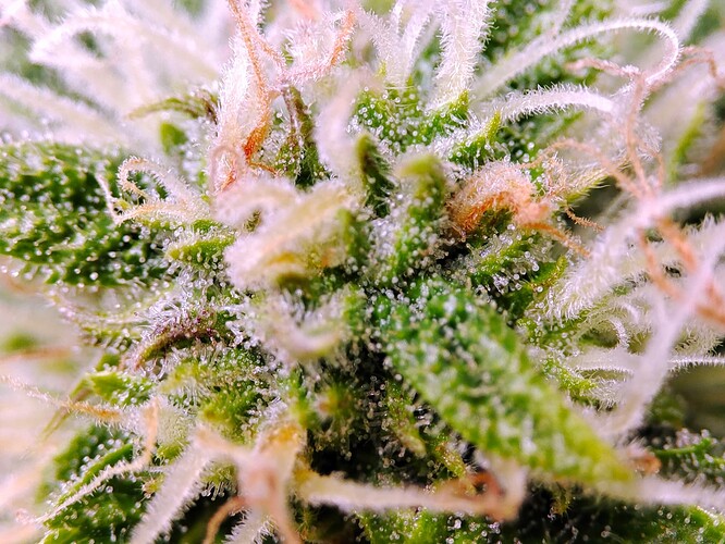 Growreport Bild 11