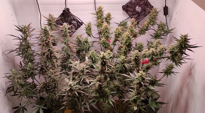 Growreport Bild 18
