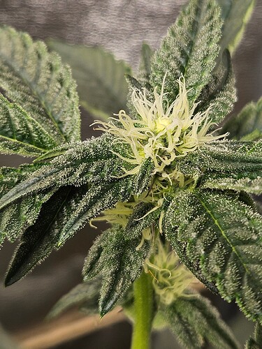 Growreport Bild 11