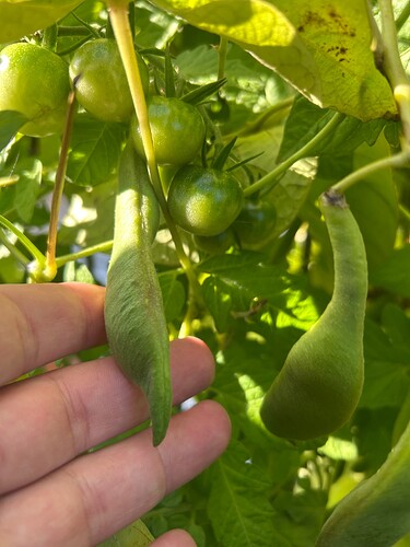 Growreport Bild 40