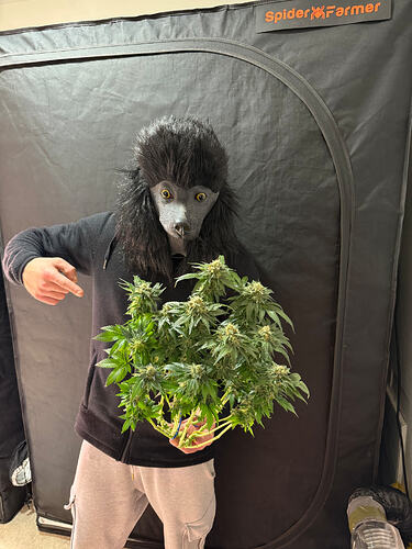 Growreport Bild 28