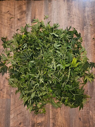 Growreport Bild 5