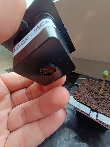 IMG_20240422_083930794_HDR