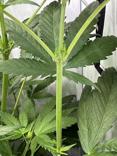 Growreport Bild 7