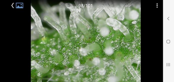 signal-2024-07-21-223644_003