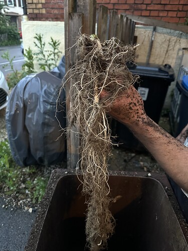 Growreport Bild 47