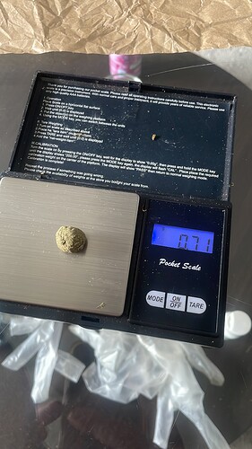 Growreport Bild 7