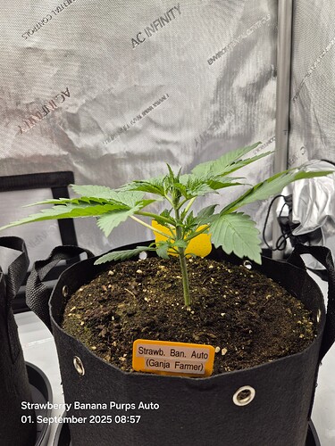 Growreport Bild 15