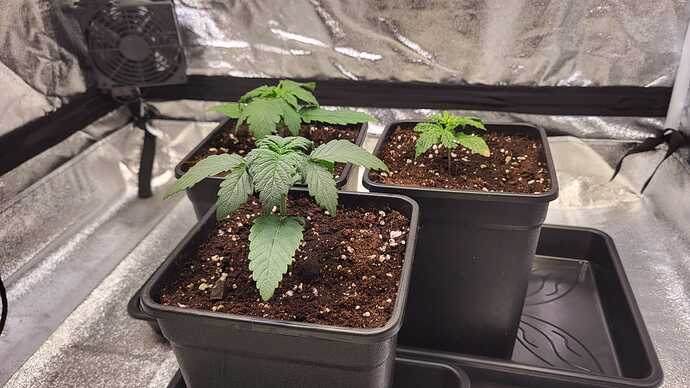 Growreport Bild 30