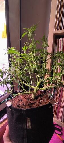 Growreport Bild 5