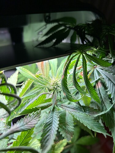 Growreport Bild 4
