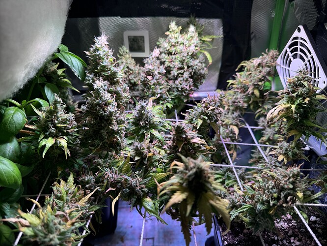 Growreport Bild 2