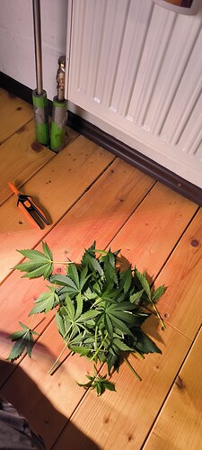 Growreport Bild 8