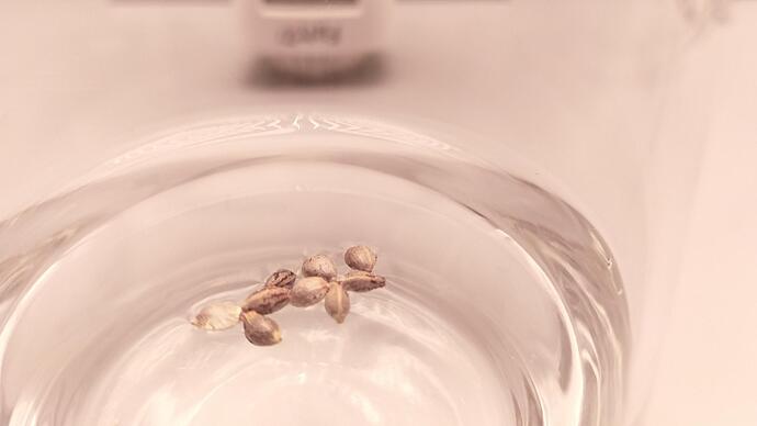 IMG_20240413_130458