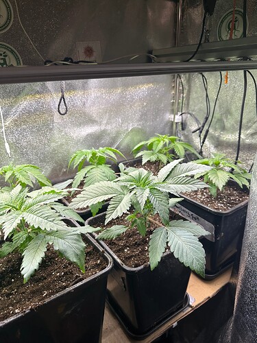 Growreport Bild 19