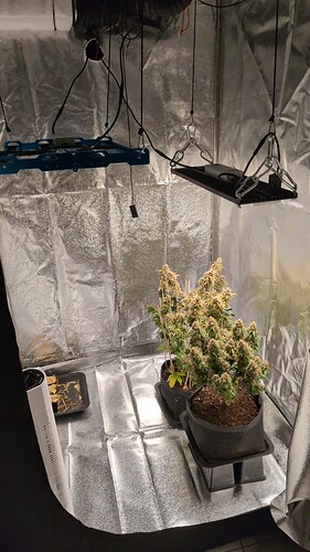 Growreport Bild 9